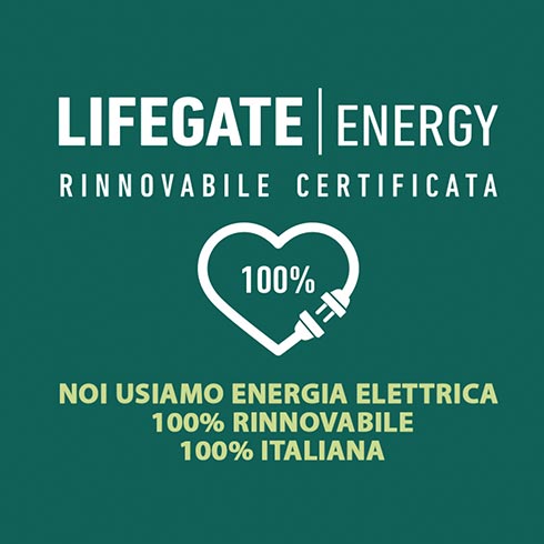 logo lifegate energy